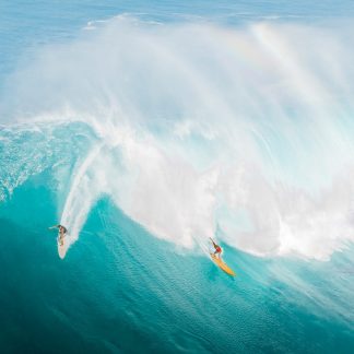 HONOLULU HAZE Hi cbd hybrid hemp/fems